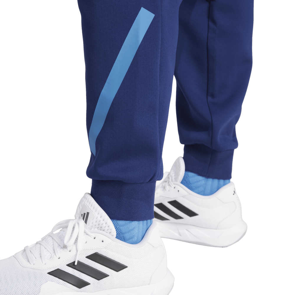 adidas Frankreich Travel Z.N.E. Hose Herren