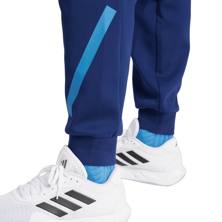 adidas Frankreich Travel Z.N.E. Hose Herren