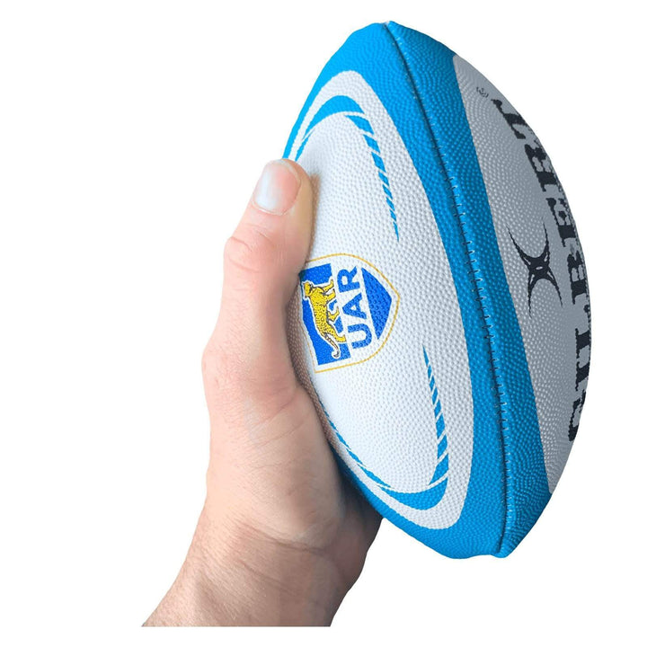 Argentina mini rugbybold